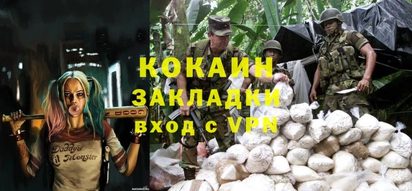 прущие грибы Володарск