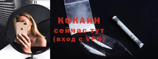 шишки Нязепетровск