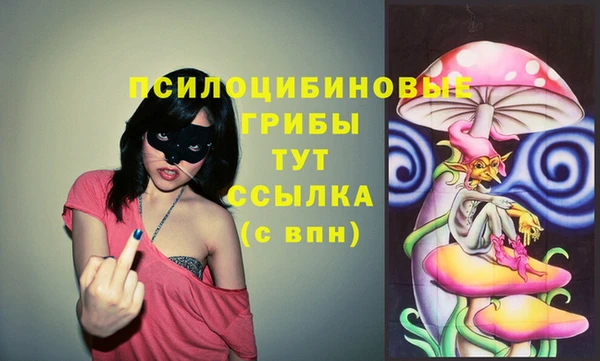 прущие грибы Володарск