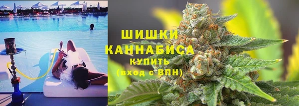 прущие грибы Володарск