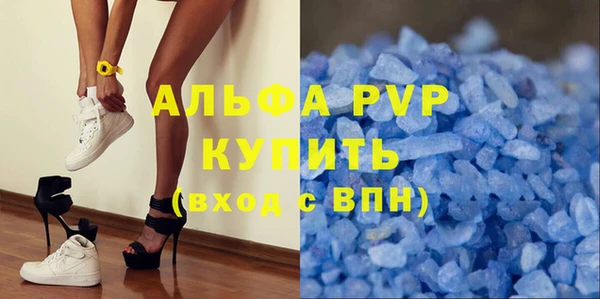прущие грибы Володарск